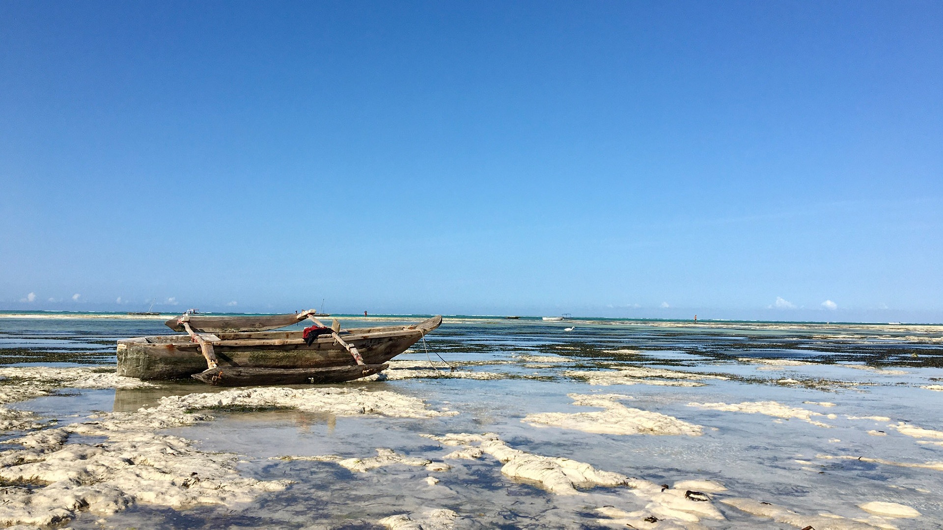 Wat maakt Zanzibar dé ideale reisbestemming?